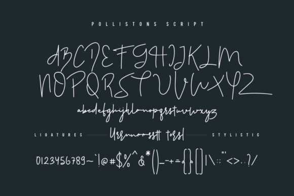 Pollistons Font Poster 7