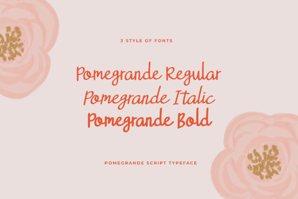 Pomegrande Font Poster 5