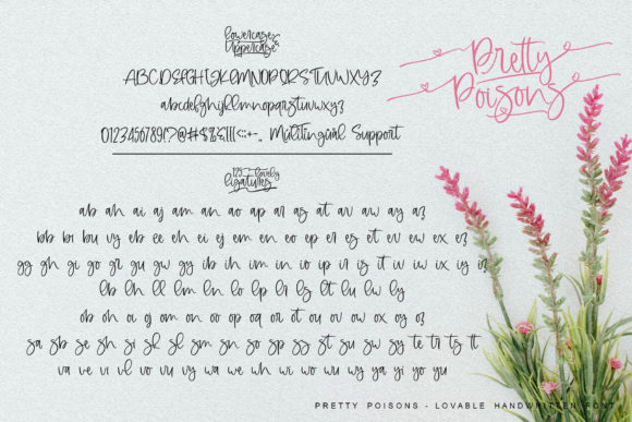 Pretty Poisons Font Poster 7
