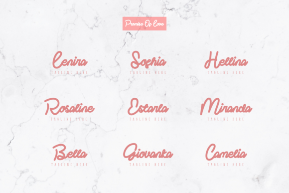 Promise of Love Font Poster 4