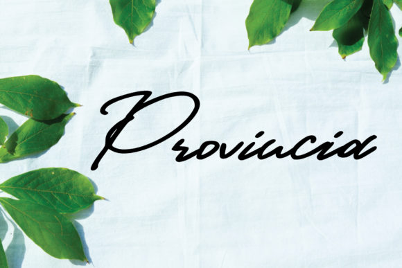 Provincia Font Poster 1