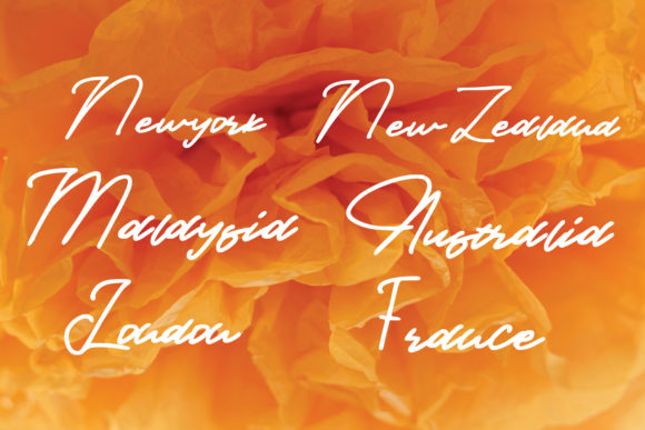 Provincia Font Poster 3