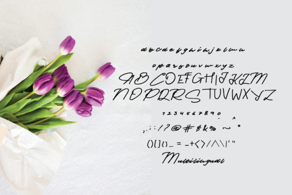 Provincia Font Poster 5