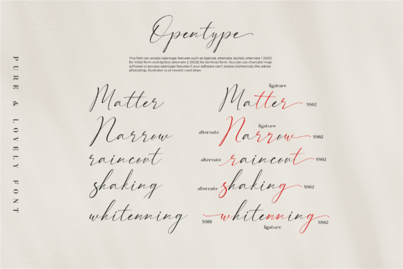 Pure & Lovely Font Poster 2