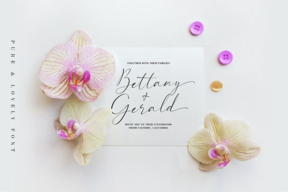 Pure & Lovely Font Poster 7