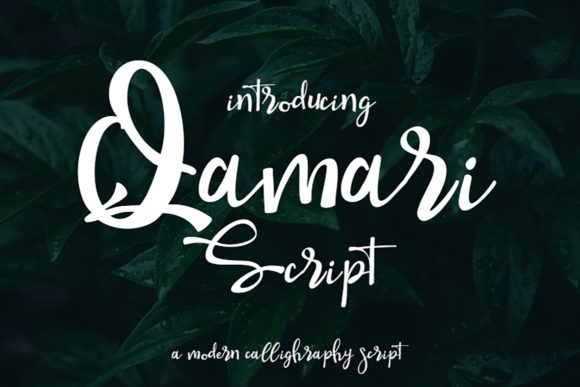 Qamari Script Font Poster 1