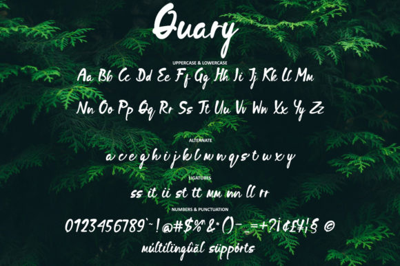 Quary Font Poster 5