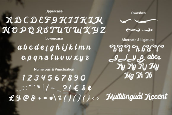 Radio Classic Font Poster 2