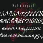 Rahiyan Font Poster 7