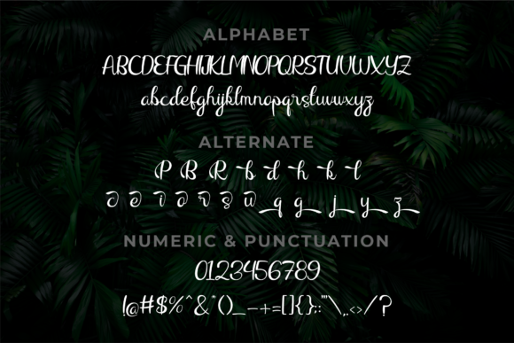 Raliqa Font Poster 7