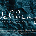 Ralligila Font Poster 2