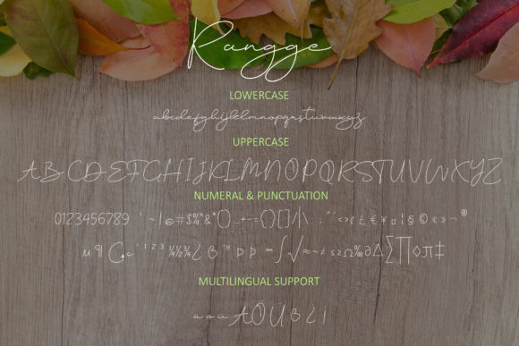 Rangge Font Poster 7
