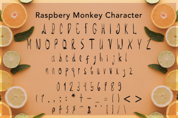 Raspberry Monkey Font Poster 5