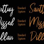 Rassty Brush Script Font Poster 2