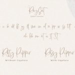 Raysat Font Poster 13