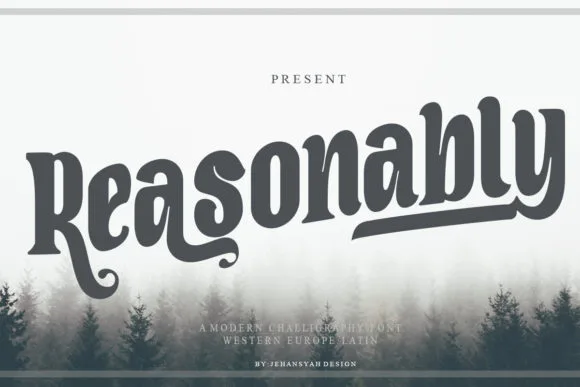 Reasonably Font Reasonably Font Poster 1