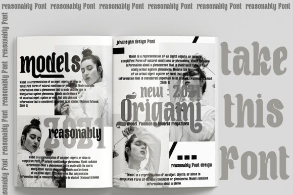 Reasonably Font Poster 4