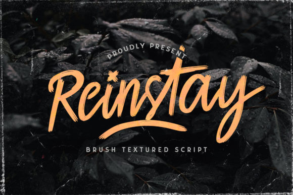 Reinstay Font Poster 1
