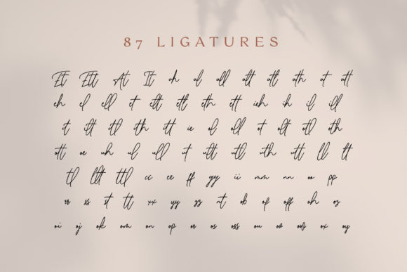 Renissa Font Poster 14