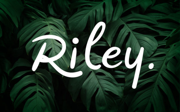 Riley Font Poster 1