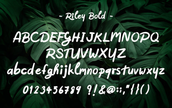 Riley Font Poster 7