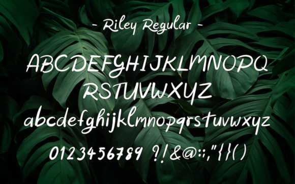 Riley Font Poster 9