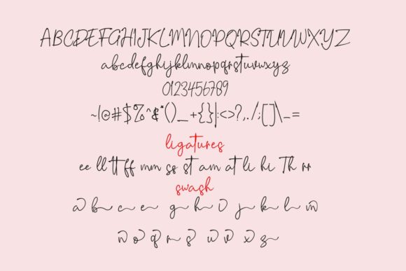 Riujin Palluy Font Poster 5