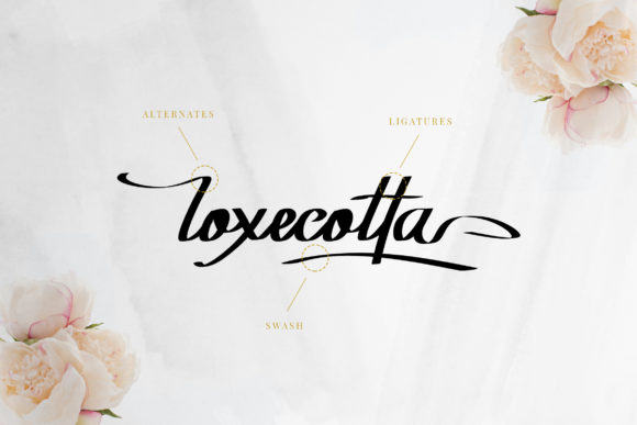Rockyoletta Font Poster 3