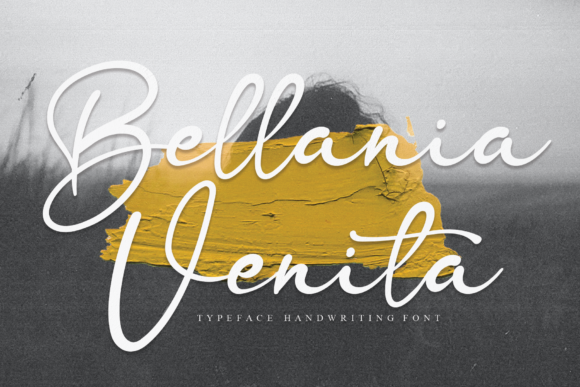 Romantic Hanimun Font Poster 3