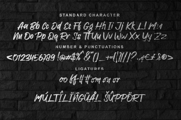 Ronxetta  Font Poster 3
