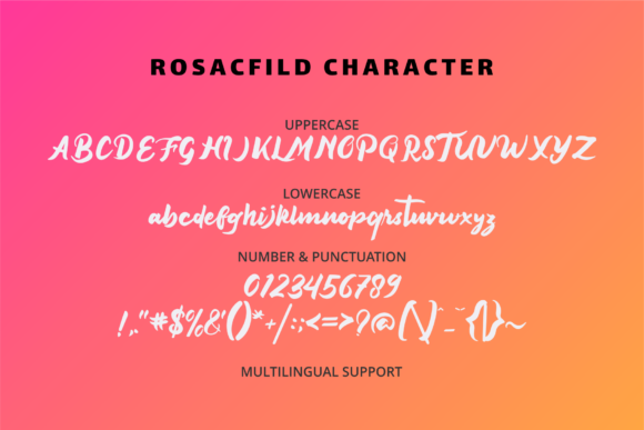 Rosacfild Font Poster 5