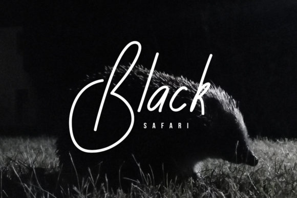 Rusa Hitam Font Poster 3