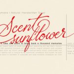 Sacred Letter Font Poster 3