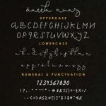 Saeela Nuary Font Poster 5