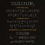 Saeela Nuary Font Poster 7