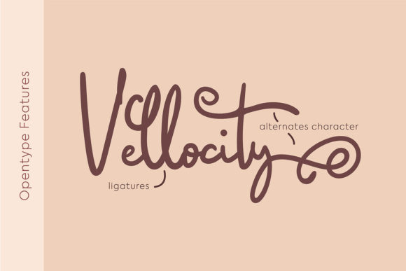 Saillendya Font Poster 4