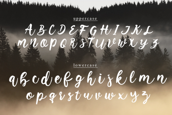 Saint Mighuel Font Poster 8