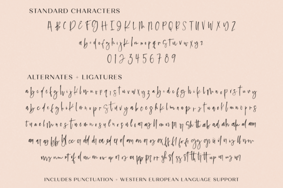 Saison Font Poster 10