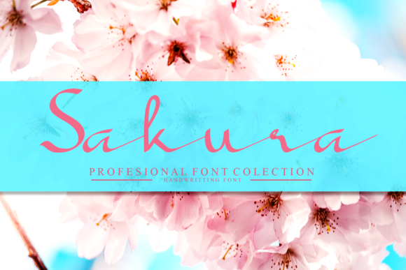 Sakura Font