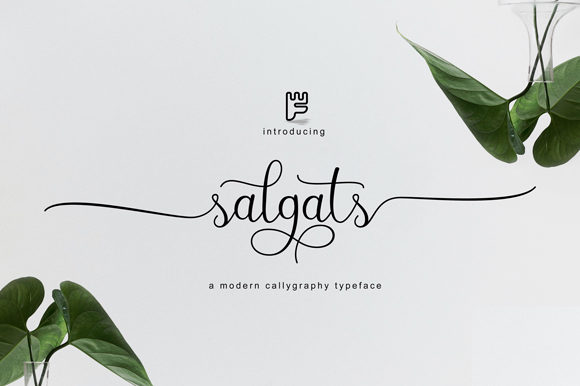 Salgats Font Poster 1