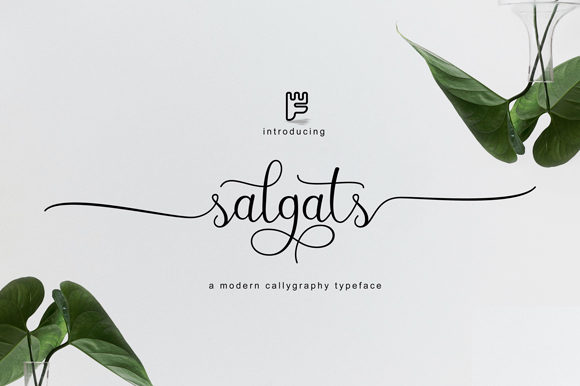 Salgats Font