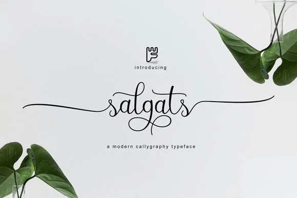 Salgats Font Salgats Font Poster 1