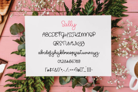 Sally Font Poster 4