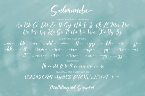 Salmanda Font Poster 7