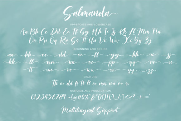 Salmanda Font Poster 7