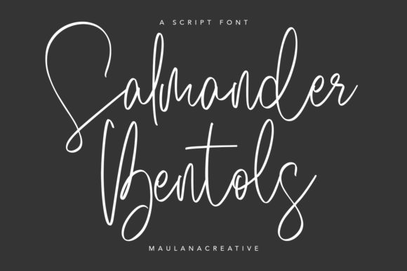 Salmander Bentols Font Poster 1