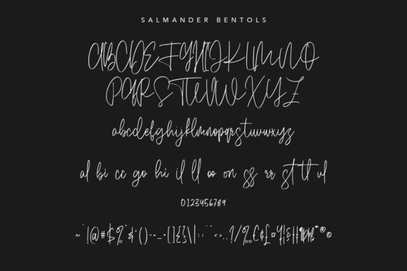 Salmander Bentols Font Poster 8