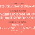 Salmonpie Font Poster 11