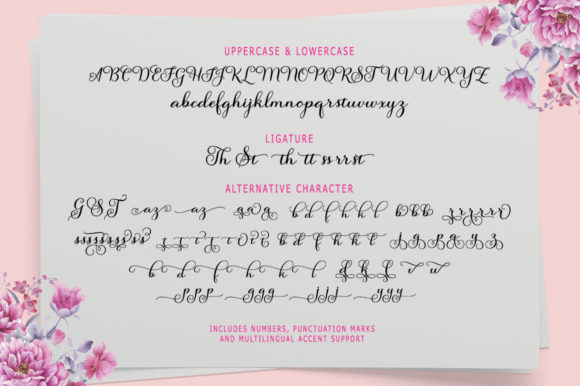 Salsadila Font Poster 8