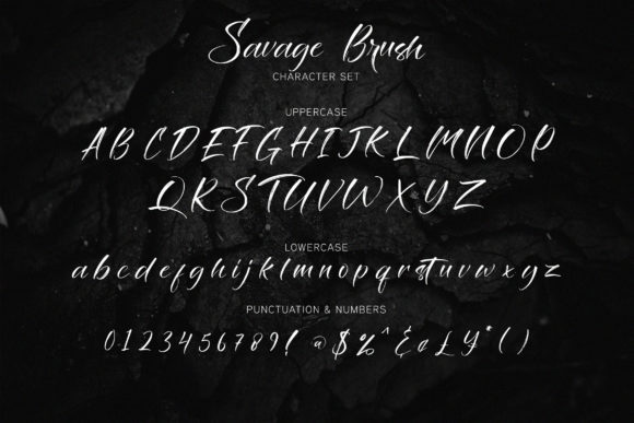 Savage Brush Font Poster 7